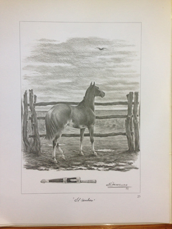 Libro usado en venta: La estancia vieja de Eleodoro Marenco; impreso en 1972 realizamos envios a todo el mundo.3