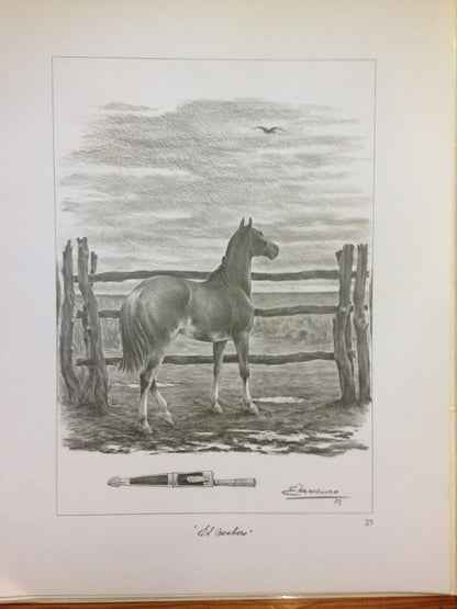 Libro usado en venta: La estancia vieja de Eleodoro Marenco; impreso en 1972 realizamos envios a todo el mundo.3