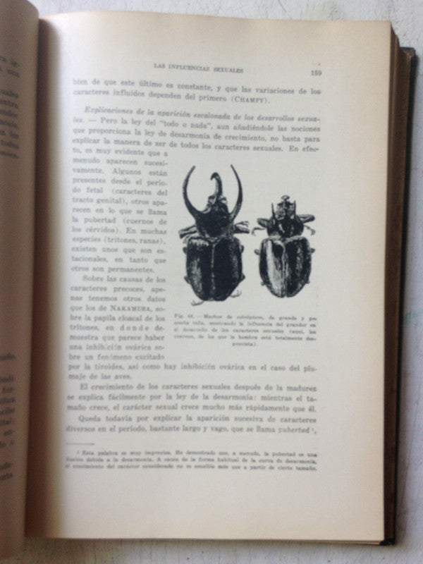 Libro usado en venta: La esfinge - Vol. III; editorial Hesperia impreso en 1924 realizamos envios a todo el mundo.2