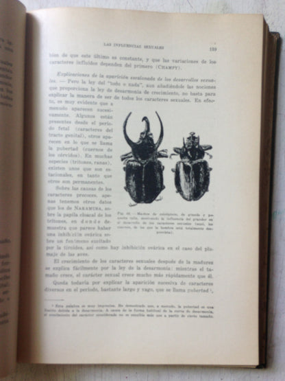 Libro usado en venta: La esfinge - Vol. III; editorial Hesperia impreso en 1924 realizamos envios a todo el mundo.2