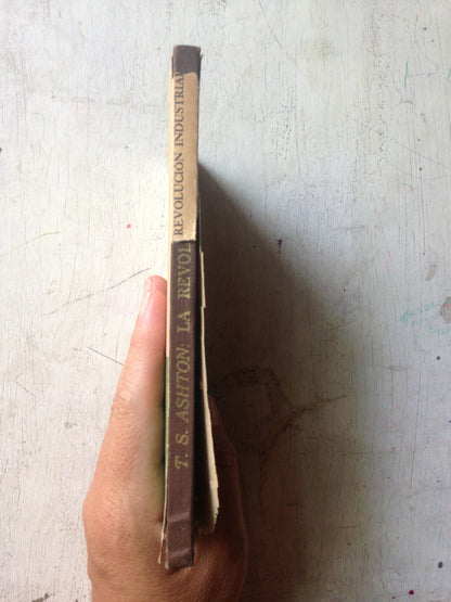 Libro usado en venta: Lunfandia en Villa Gesell de Miguel Ramon Franco (el entrerriano); realizamos envios a todo el mundo.2