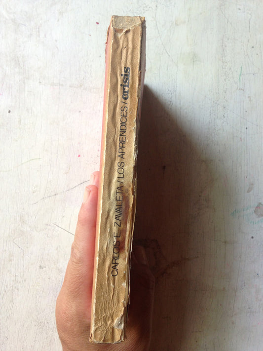 Libro usado en venta: Estetica (Parte teorica) de Benedetto Croce; editorial Centro Editor de America Latina impreso en 1971 envios a todo el mundo.2