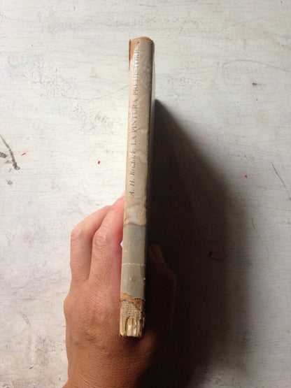 Libro usado en venta: Un resplandor que se apago en el mundo de Liliana Heker; editorial Sudamericana impreso en 1977 envios a todo el mundo.2