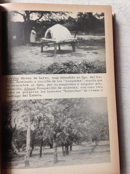 Libro usado en venta: Rasgos fundamentales de los departamentos de Santiago del Estero (2 Tomos) de Basualdo; Municipalidad de Santiago del Estero 1981.3