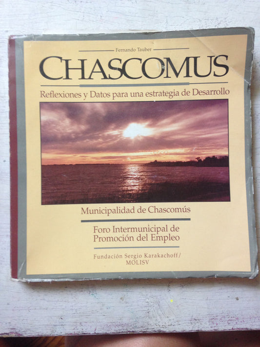 Libro usado en venta: Chascomus - Reflexiones y datos para una estrategia de desarrollo de Fernando Tauber; impreso en 1993 envios a todo el mundo.1