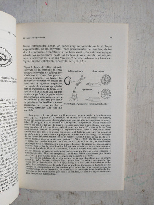 Libro usado en venta: Compendio de virologia general de Marian Horzinek; editorial Hemisferio Sur impreso en 1975 realizamos envios a todo el mundo.3