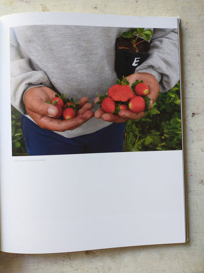 Libro usado en venta: Riqueza latente 1 de Santiago Hynes; editorial MAGyP impreso en 2013 realizamos envios a todo el mundo.3