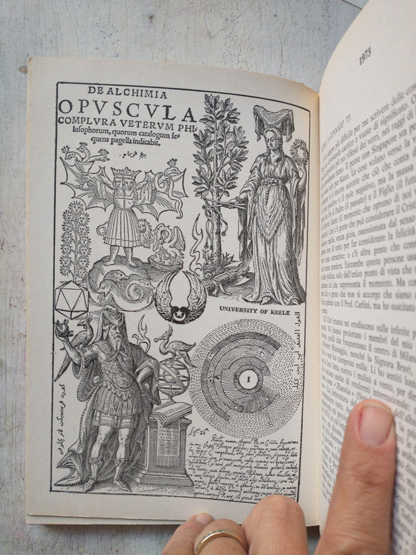 Libro usado en venta: L'histoire des idees theosophiques dans l'inde de Paul Oltramare; Librairie Orientaliste Paul Geuthner impreso en 1923.2