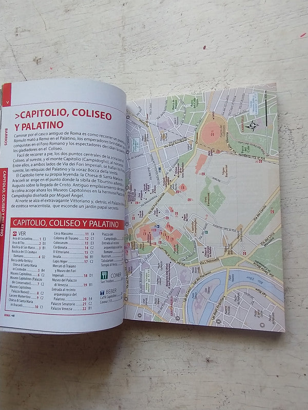 Libro usado en venta: Roma de cerca de Guia; editorial Lonely Planet impreso en 2009 realizamos envios a todo el mundo.3