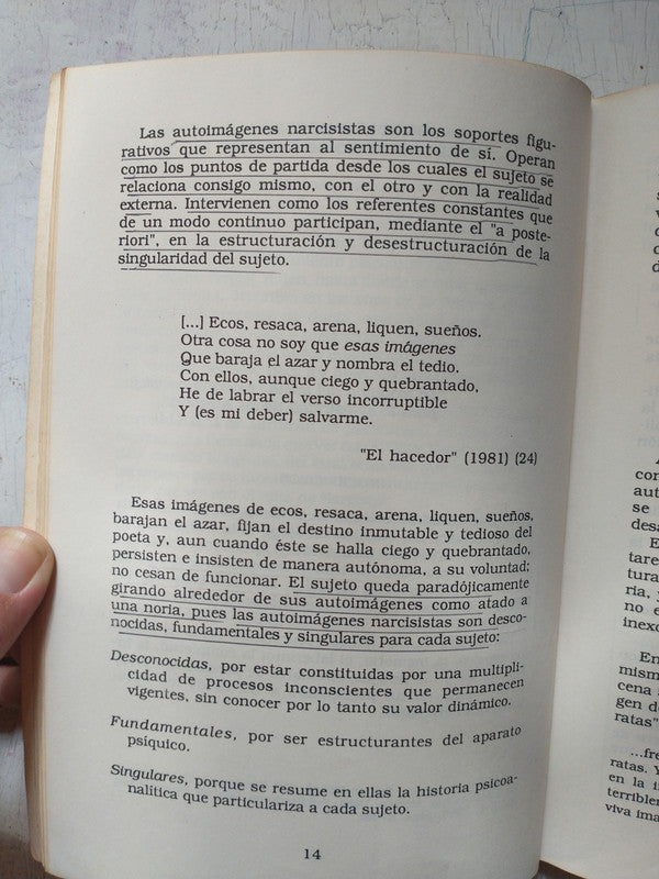 Libro usado en venta: Jorge Luis Borges o el laberinto de Narciso de Luis Kancyper; editorial Paidos impreso en 1989 realizamos envios a todo el mundo.2