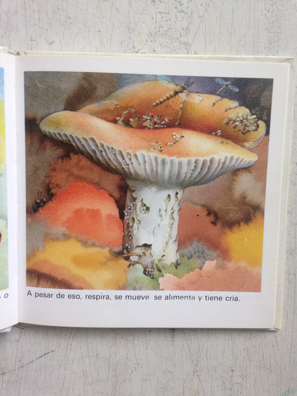 Libro usado en venta: La barra de oro de Orlando Mario Punzi; editorial Ediciones del autor impreso en 1991 realizamos envios a todo el mundo.2