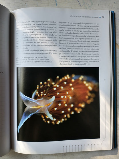 Libro usado en venta: El mundo secreto del cerebro de Catherine Loveday; editorial Libsa impreso en 2017 realizamos envios a todo el mundo.2