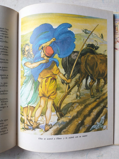 Libro usado en venta: Historias de la Biblia para los ni?os; editorial Fher impreso en 1982 realizamos envios a todo el mundo.3