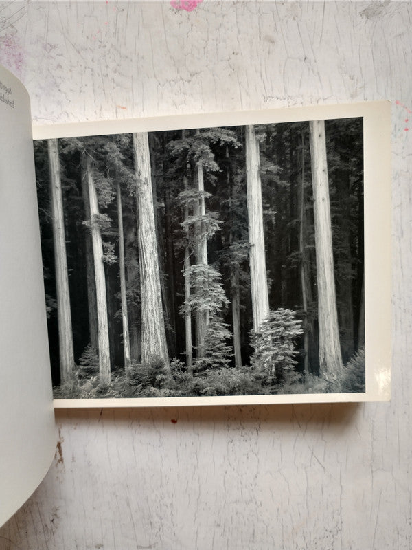 Libro usado en venta: California - A Postcard folio book de Ansel Adams; editorial Little, Brown and Company impreso en 1998 envios a todo el mundo.3