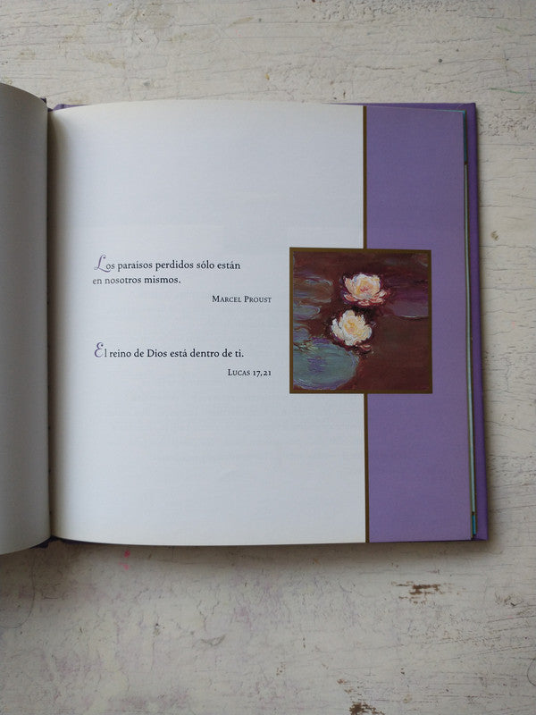 Libro usado en venta: Grandes Pinturas del Museo Nacional de Bellas Artes; editorial AGEA impreso en 2011 realizamos envios a todo el mundo.2