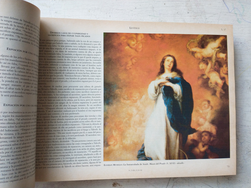 Libro usado en venta: La Santa Biblia - Antiguo y Nuevo Testamento de R P Serafin de Ausejo; editorial Perfil impreso en 1996 envios a todo el mundo.3