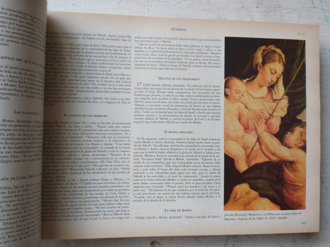 Libro usado en venta: La Santa Biblia - Antiguo y Nuevo Testamento de R P Serafin de Ausejo; editorial Perfil impreso en 1996 envios a todo el mundo.4