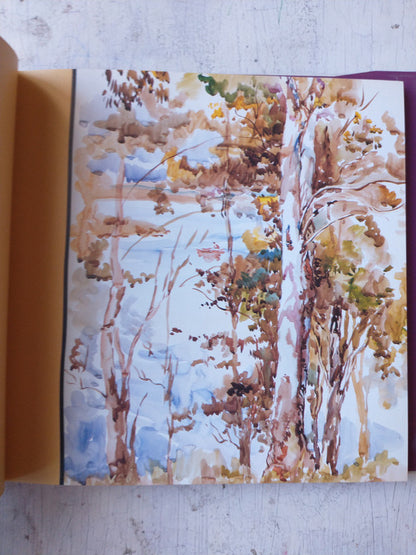 Libro usado en venta: La comodidad de lo solido de Humberto Dib; editorial Dunken impreso en 2013 realizamos envios a todo el mundo.2