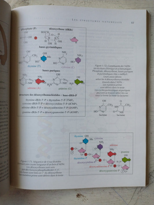 Libro usado en venta: Biochimie et Biologie molecularie illustrees de Jacques-Paul Borel - M. Sternberg; editorial Frison-Roche impreso en 2000.2