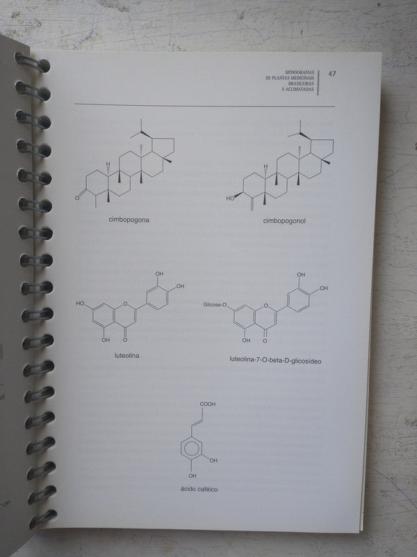 Libro usado en venta: I promessi sposi (Tomo II) de Alessandro Manzoni (Alejandro Manzoni); editorial Asociacion Dante Alighieri impreso en 1986.2