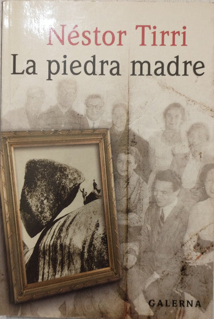 Libro usado en venta: La piedra madre de Nestor Tirri; editorial Galerna impreso en 2007 realizamos envios a todo el mundo.1