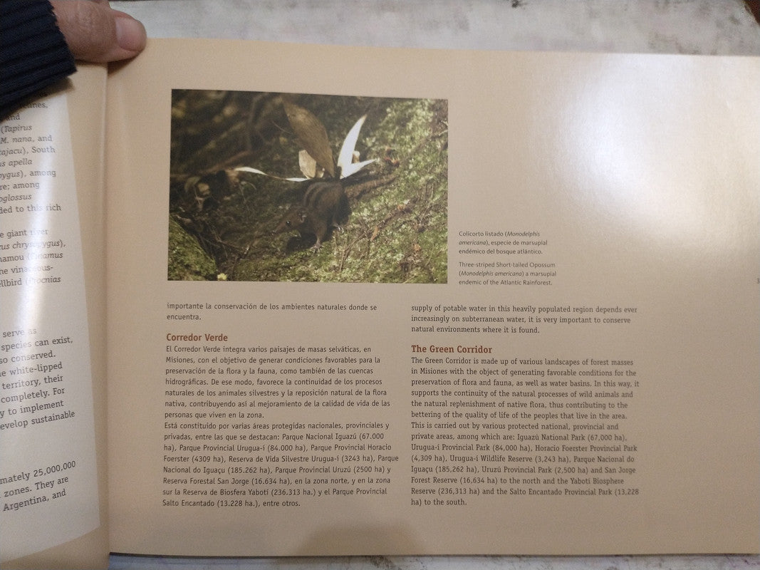 Libro usado en venta: Velas y sahumerios de Carla Gonzalez - Emilia Beznec; editorial Gargola impreso en 2006 realizamos envios a todo el mundo.2