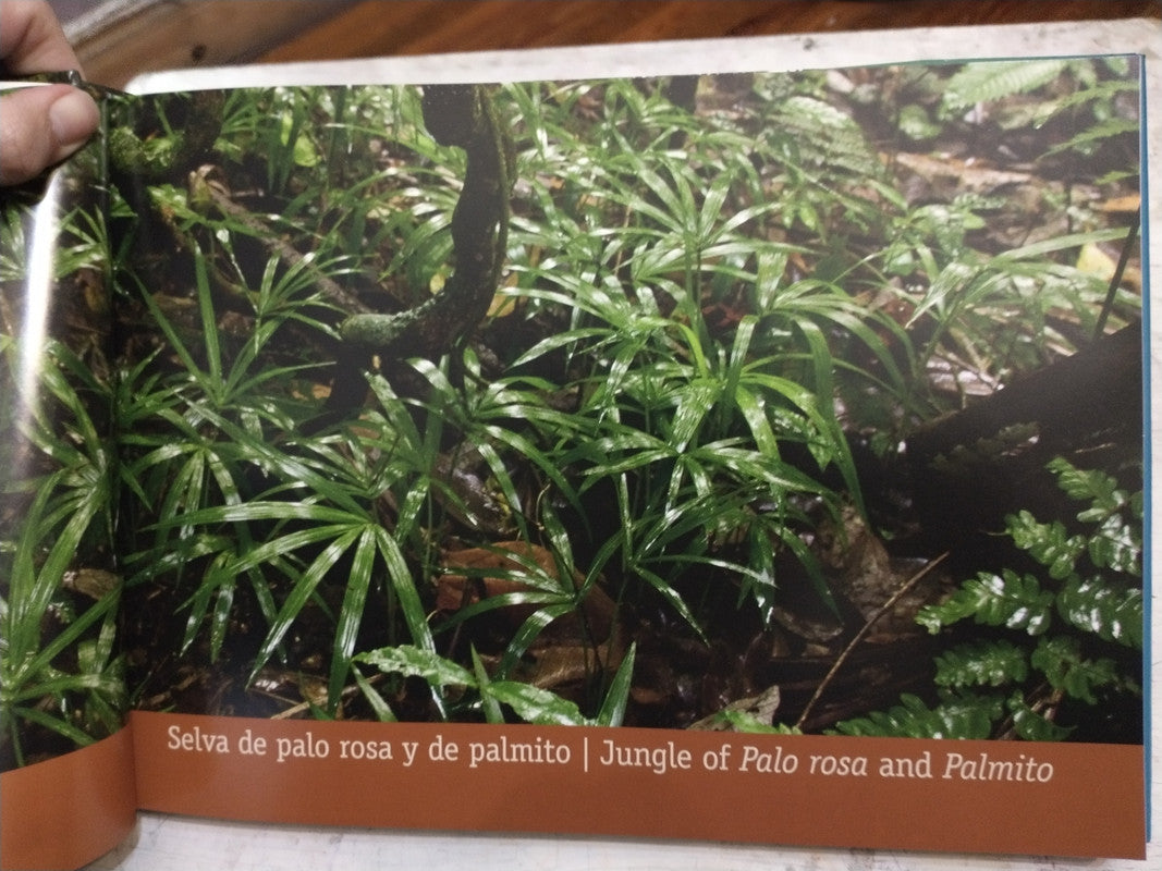Libro usado en venta: Reserva forestal San Jorge de Emilio E. White; editorial Alto Parana impreso en 2012 realizamos envios a todo el mundo.3