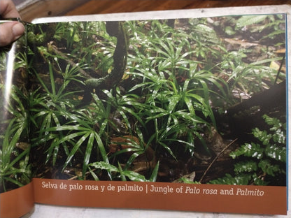 Libro usado en venta: Reserva forestal San Jorge de Emilio E. White; editorial Alto Parana impreso en 2012 realizamos envios a todo el mundo.3