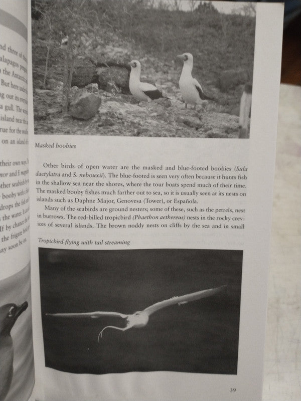 Libro usado en venta: Francia: Paris, Valle del Loira, Burdeos, Los Alpes de Guia Total; editorial Anaya impreso en 1999 envios a todo el mundo.2