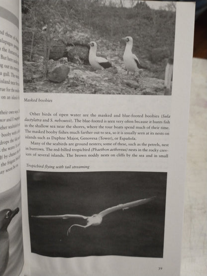 Libro usado en venta: Francia: Paris, Valle del Loira, Burdeos, Los Alpes de Guia Total; editorial Anaya impreso en 1999 envios a todo el mundo.2