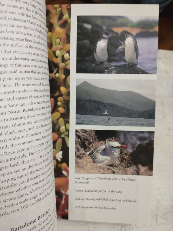 Libro usado en venta: The Galapagos Islands de Marylee Stephenson; editorial The Mountaineers Books impreso en 2000 realizamos envios a todo el mundo.3