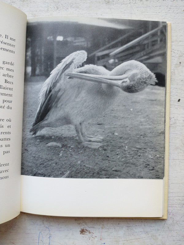 Libro usado en venta: El juez y su verdugo de Friedrich Durrenmatt; editorial Sudamericana - Planeta impreso en 1984 realizamos envios a todo el mundo.2