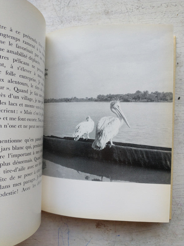 Libro usado en venta: Histoire de Mon Pelican de Albert Schweitzer; editorial Albin Michel impreso en 1963 realizamos envios a todo el mundo.3