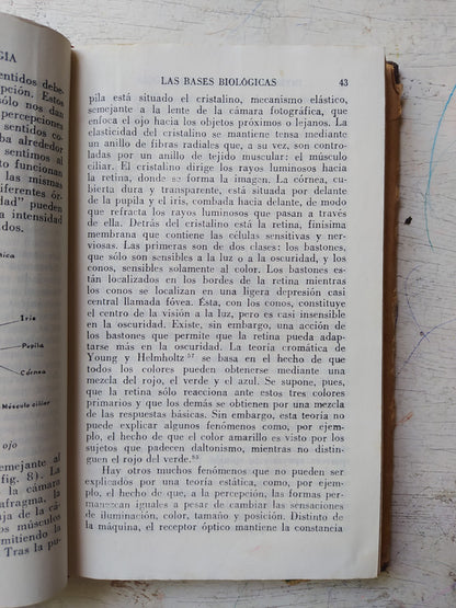 Libro usado en venta: Introduccion a la psicologia de Werner Wolff; editorial Fondo de Cultura Economica impreso en 1964 envios a todo el mundo.3