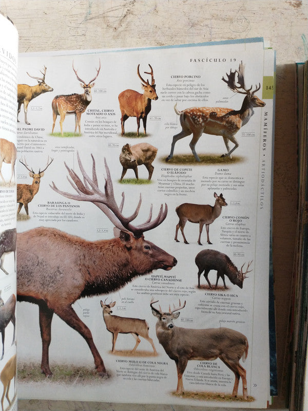Libro usado en venta: Mundo Animal; editorial Dorling Kindersley impreso en 2014 realizamos envios a todo el mundo.3