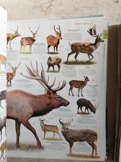 Libro usado en venta: Mundo Animal; editorial Dorling Kindersley impreso en 2014 realizamos envios a todo el mundo.3