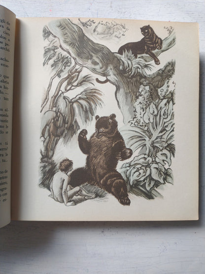 Libro usado en venta: El libro de las Tierras Virgenes de Rudyard Kipling; editorial Gustavo Gili impreso en 1960 realizamos envios a todo el mundo.3