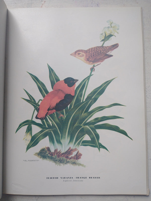 Libro usado en venta: Cuando Buenos Aires era colonia de Gori Muñoz - Berenguer Carisomo; editorial Aguilar impreso en 1960 envios a todo el mundo.2