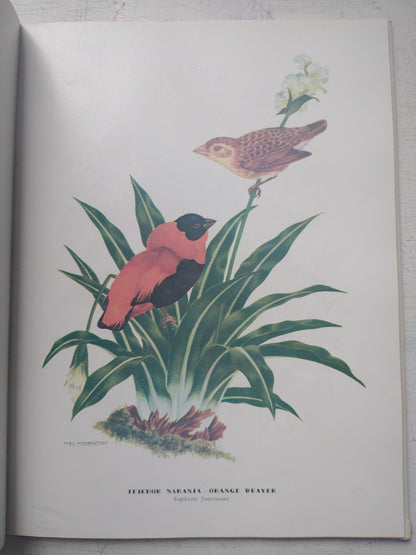 Libro usado en venta: Cuando Buenos Aires era colonia de Gori Muñoz - Berenguer Carisomo; editorial Aguilar impreso en 1960 envios a todo el mundo.2