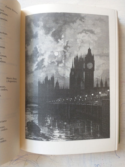Libro usado en venta: La vida explicada de Isabel Rimanoczy; editorial Ediciones del autor impreso en 2013 realizamos envios a todo el mundo.2