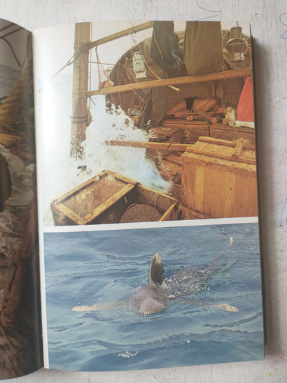 Libro usado en venta: Las expediciones Ra de Thor Heyerdahl; editorial Juventud impreso en 1974 realizamos envios a todo el mundo.4