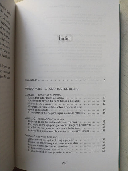 Libro usado en venta: Patagonia sobre rieles de Paludi - Castro - Kononczuk; impreso en 2005 realizamos envios a todo el mundo.2
