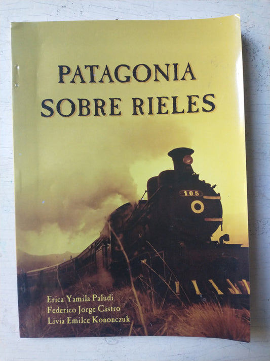 Libro usado en venta: Patagonia sobre rieles de Paludi - Castro - Kononczuk; impreso en 2005 realizamos envios a todo el mundo.1