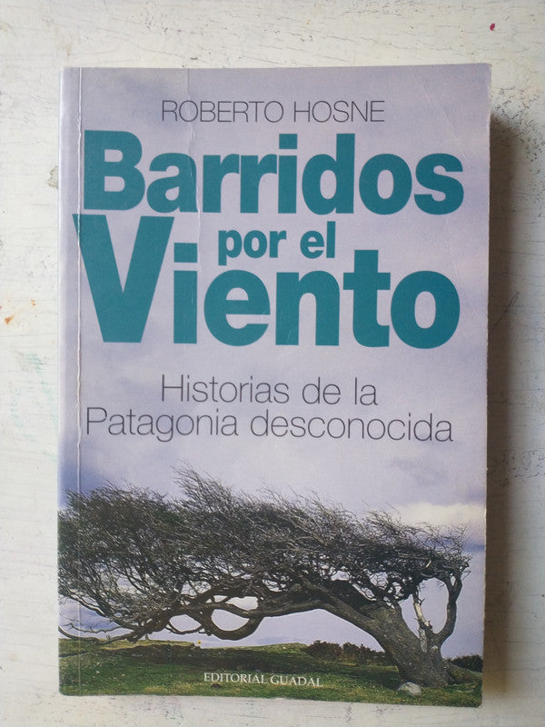 Libro usado en venta: Barridos por el viento de Roberto Hosne; editorial Guadal impreso en 2004 realizamos envios a todo el mundo.1
