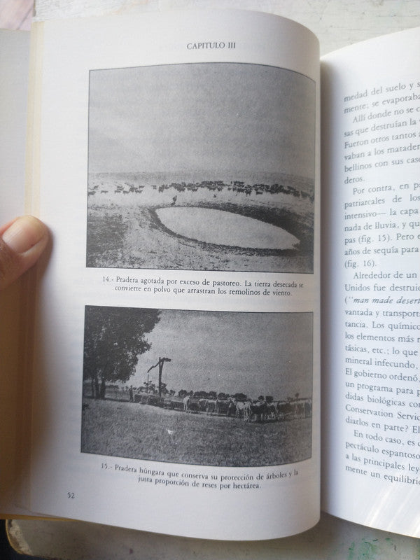 Libro usado en venta: La inquisicion en Hispanoamerica de Abelardo Levaggi; editorial Ciudad Argentina impreso en 1999 envios a todo el mundo.2