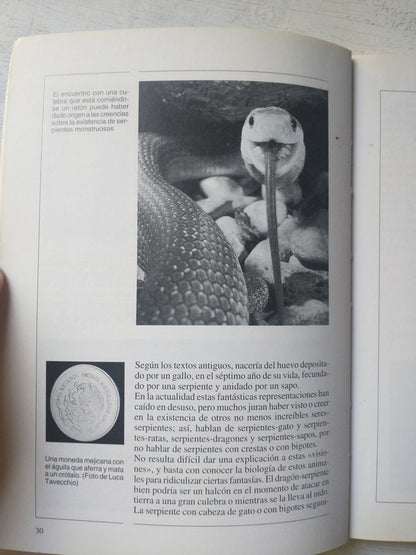 Libro usado en venta: Joe LaBrava de Elmore Leonard; editorial Folio impreso en 2000 realizamos envios a todo el mundo.2