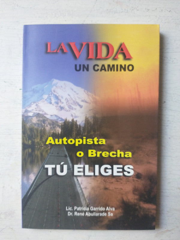Libro usado en venta: La vida, un camino de Patricia Garrido Alva - Rene Abullarade Sa; editorial Dream Works impreso en 2002 envios a todo el mundo.1