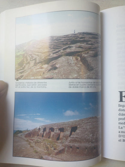 Libro usado en venta: El cerebro morfologia y dinamica de John C. Eccles; editorial Interamericana impreso en 1975 realizamos envios a todo el mundo.2