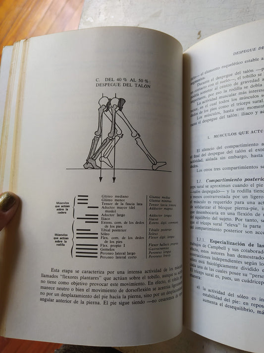 Libro usado en venta: Didactica de la geografia de Xose M. Souto Gonzalez; editorial Ediciones del Serbal impreso en 1999 envios a todo el mundo.2