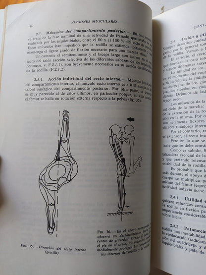 Libro usado en venta: La marcha humana; editorial Masson impreso en 1984 realizamos envios a todo el mundo.3